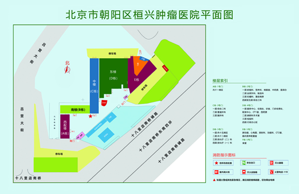 操逼骚逼北京市朝阳区桓兴肿瘤医院平面图